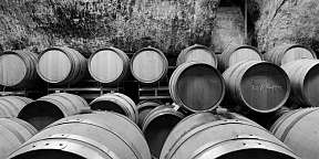 Craft Wine Spirits 3928