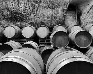 Craft Wine Spirits 3928